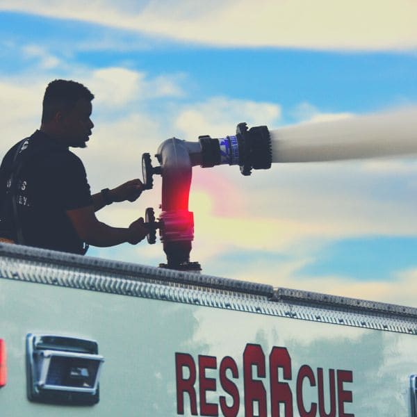 虫好き少年と息子たちの夏の思い出【青春の１ページ】