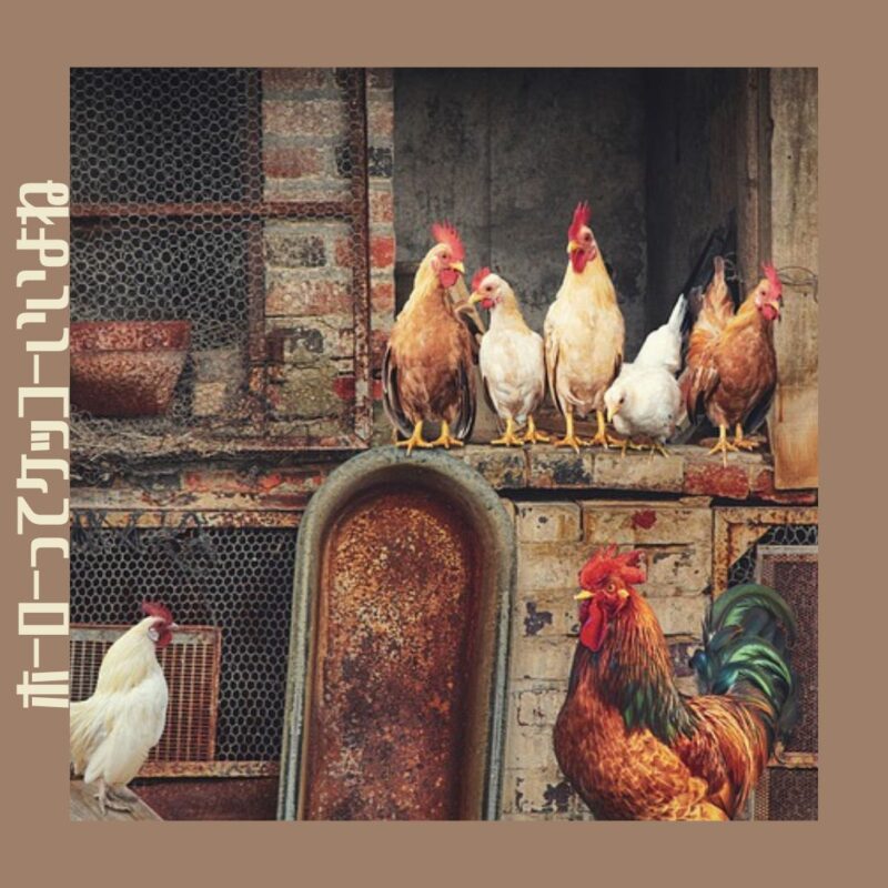 【ホーローのある暮らし】レトロでお洒落なキッチン雑貨