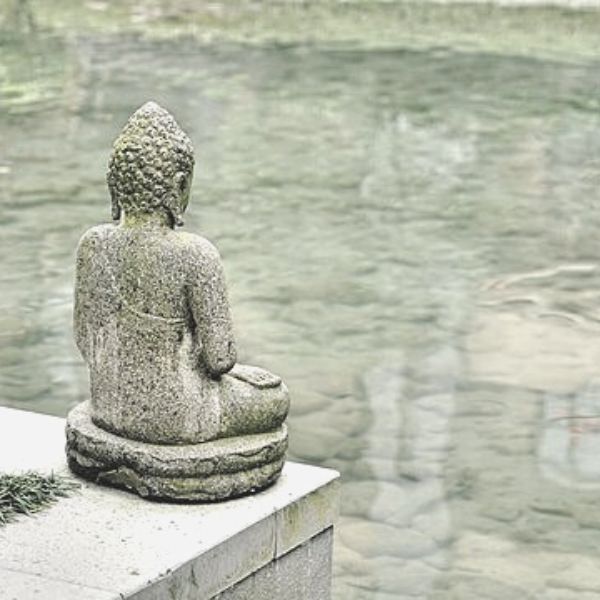 【衝撃すぎてトラウマ】亀（♂）を飼っていた時の話し