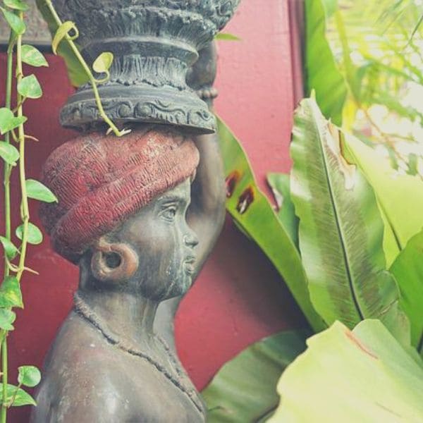 室内の観葉植物に虫がわかないようにするには？【予防と対策】