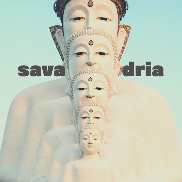 【調理時間１０分以内！】鯖缶アレンジ簡単ごはん【鯖ドリア】