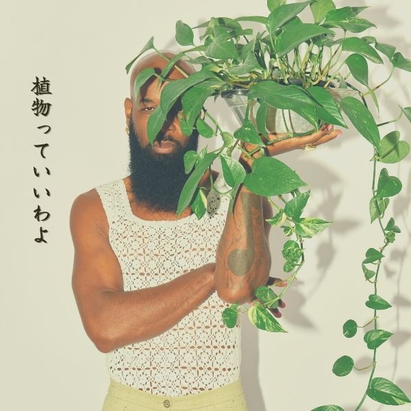 【観葉植物でオシャレ部屋】おすすめの育てやすい植物３選