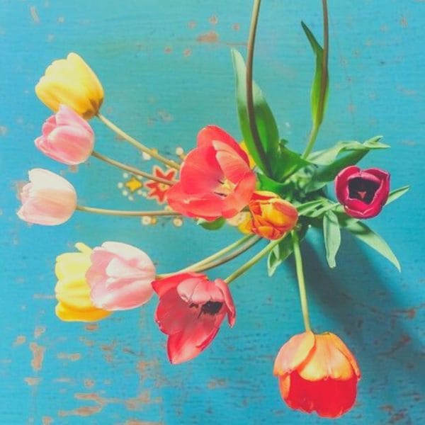 【母の日ギフト何あげる？】 雑貨屋で売れていた 実用的なプレゼント