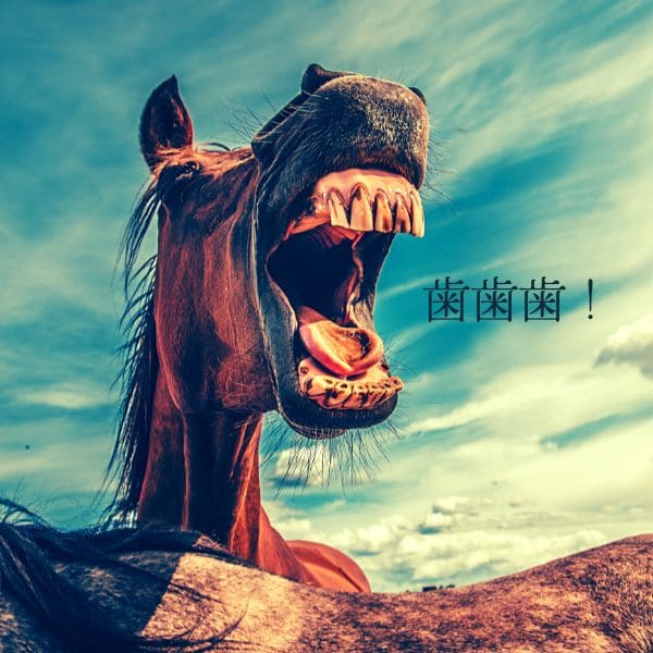 【歯・歯・歯】お口のケアにオススメのCUTEな雑貨たち