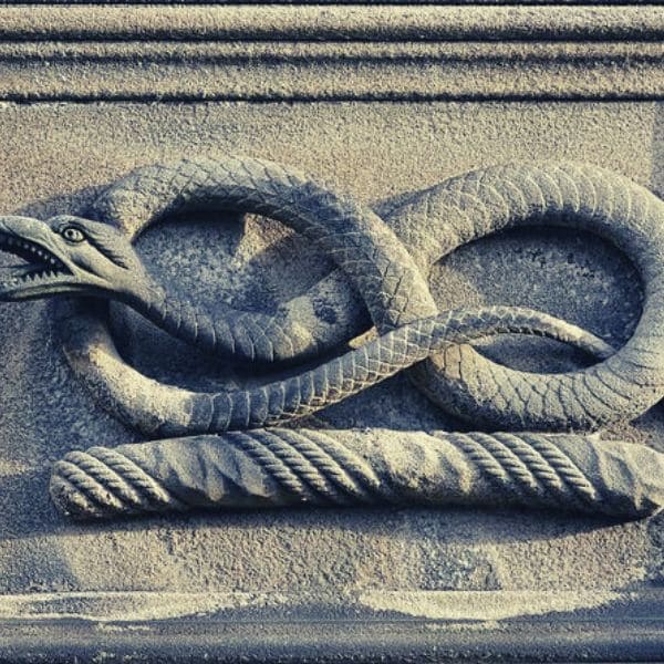 【アレクサの便利な機能】音楽再生だけじゃもったいない【オカン用】