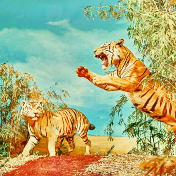 フライングタイガーの絆創膏は 北欧の遊び心があってお洒落