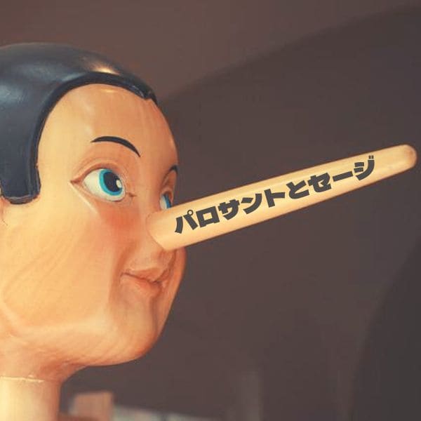 【サステナブルな香りアイテム】パロサントとホワイトセージ